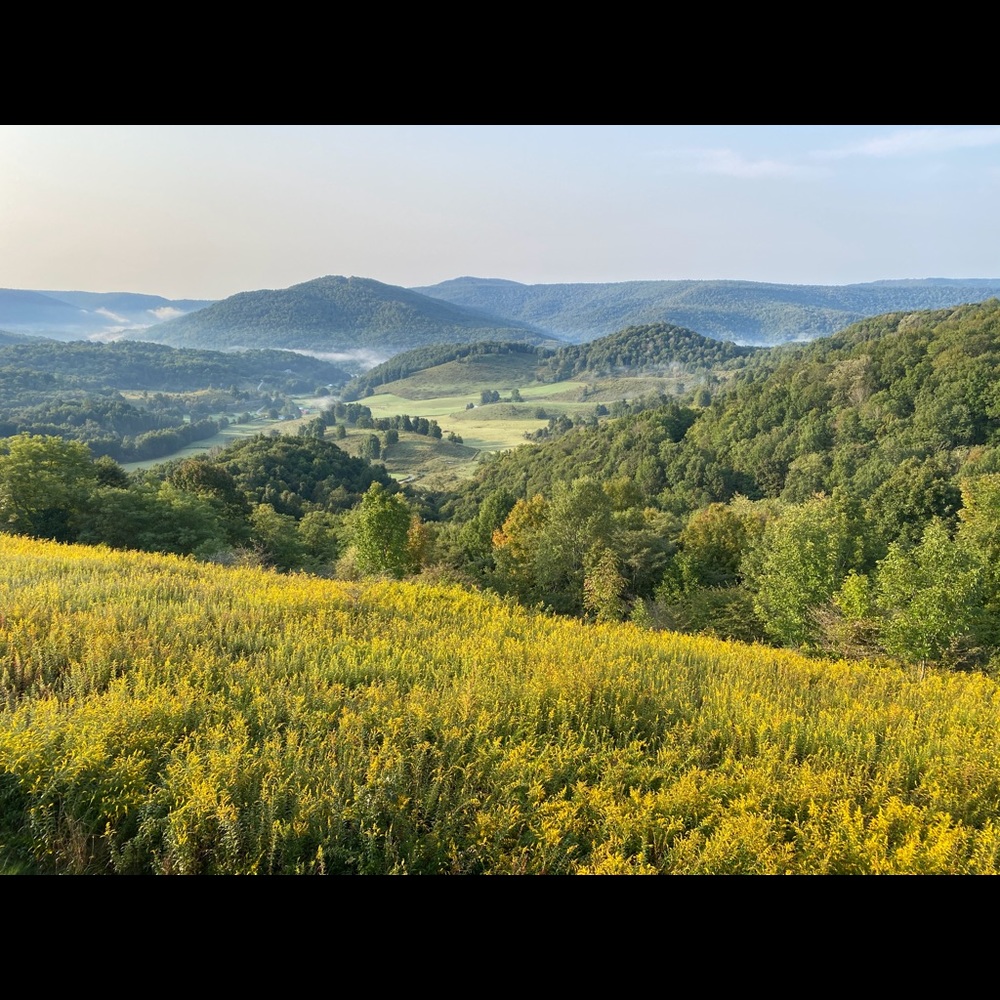 Meet your Posher, Hae min